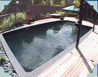 Modified SATURN 12 x 24 with BLACK interior and  Grey Walk-outs steps with CHARCOAL Stevenson's pool copings. This pool also features in the medium size section, as it is a modified version of a standard model Saturn, BUT BIGGER!