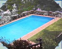 Nice garden setting with forest background. Kumeu Auckland pool built 1998 by Creative Environments (West Auckland Dealer)