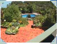 This gives a better perspective of the difficulty in building this pool. 12 Tons of building materials had to be manhandled down this slope (It wasn't paved then!) There were countless unplanned skids down this slope!