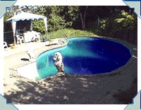Eric McCall's integrated wilderness style Valencia pool