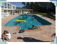 Another shot of the GEMINI model pool. Ideal for "swimmers" as opposed to "bathers"