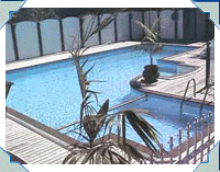 Customer Designed this Freeform pool for his grandchildren - basically 9.6 x 9.6